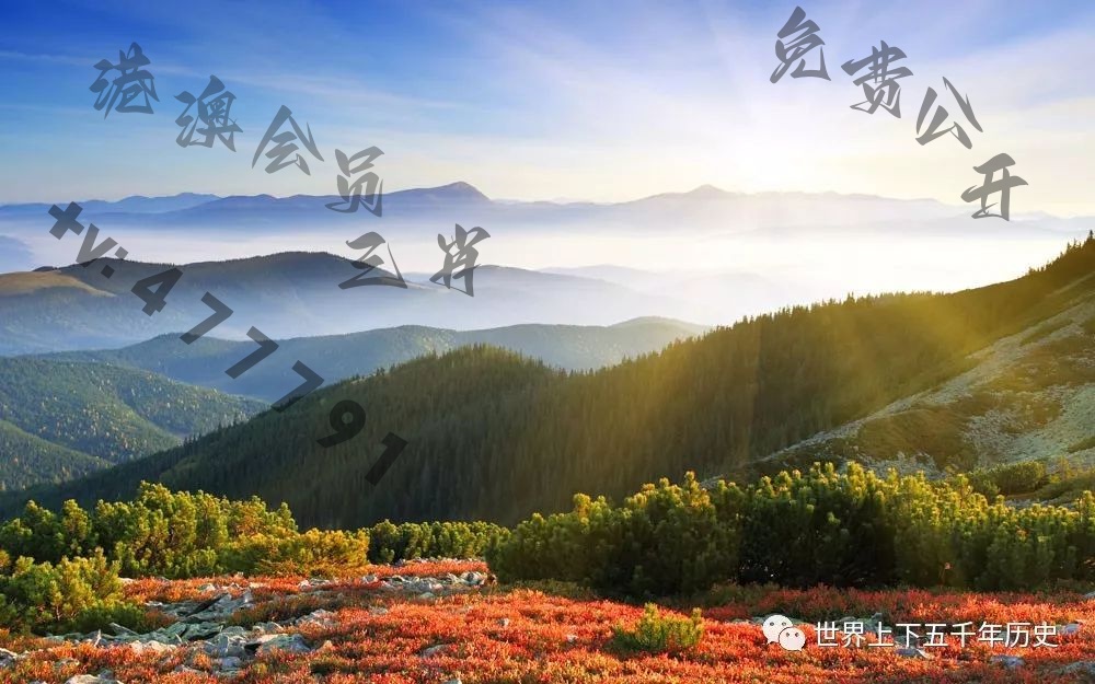 澳门今日开奖结果及网吧最新动态，一网打尽所有信息