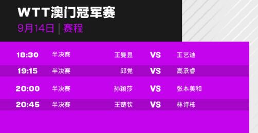 新澳门开奖记录2023年今晚开奖结果直播，探索彩票的魅力与期待
