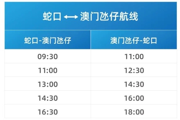 新澳门开奖记录查询今天结果，探索与解析
