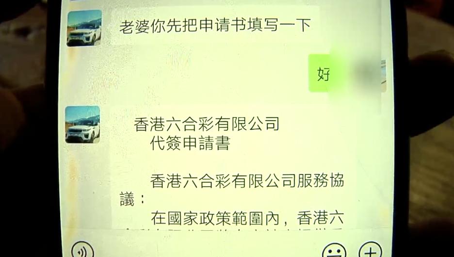 澳门新开奖记录查询与未来展望，聚焦2025年最新消息