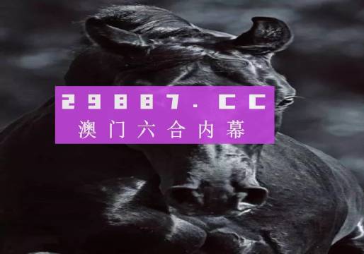 澳门新开奖记录与开奖结果，探索2023年的数据