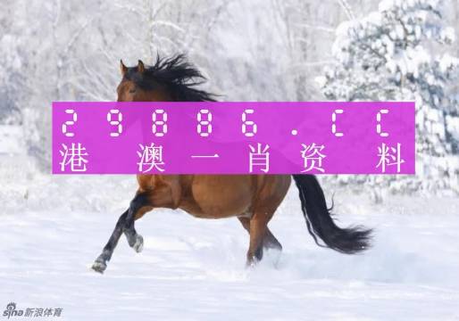 澳门新开奖记录与生肖图，探索2023年今晚开奖的神秘面纱