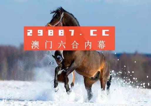 新澳门开奖记录2023年最新消息今天——探索今日开奖的激动人心时刻