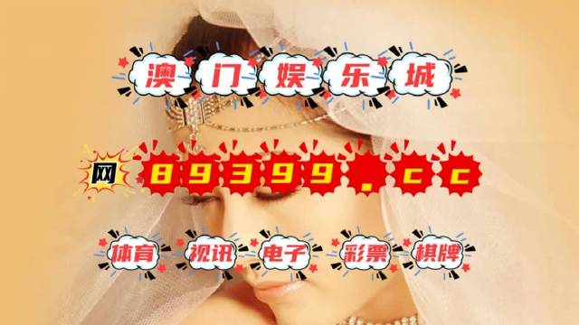 新澳门开奖记录2023最新公告下载详解