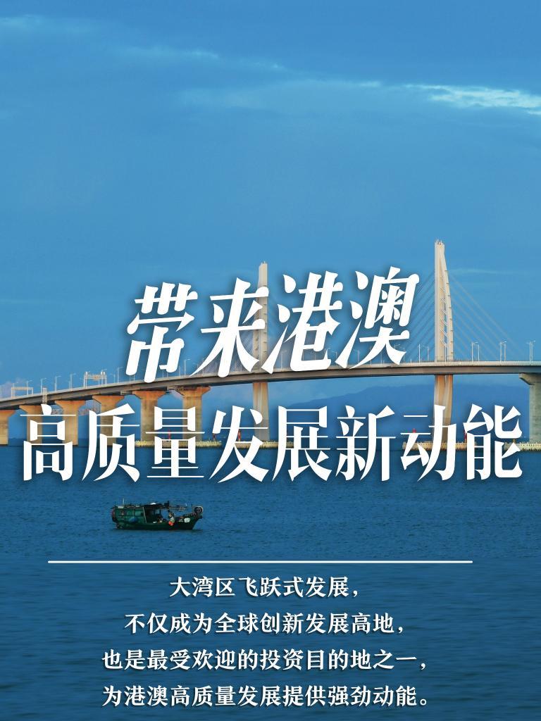 揭秘新澳门开奖记录，展望2025年的辉煌盛况