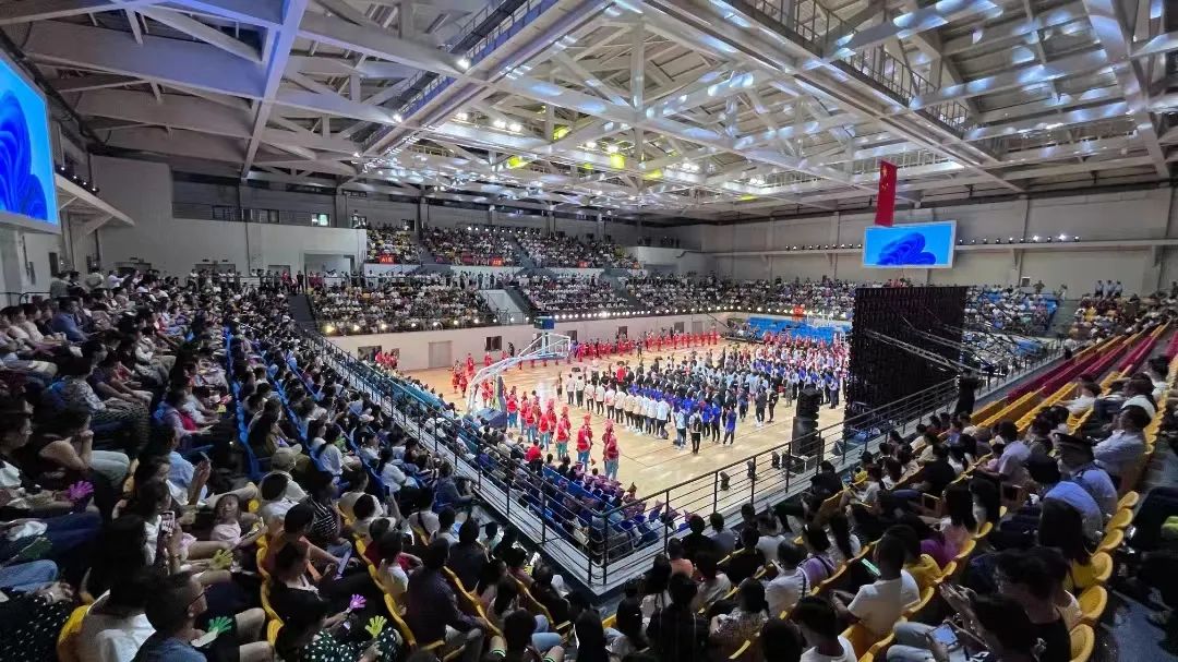 澳门新开奖记录2023年最新结果，探索彩票世界的最新动态与价格洞察