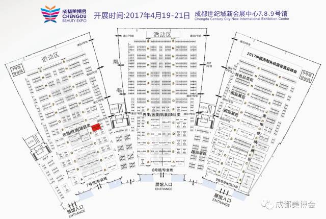 澳门新开奖记录查询，探索今日（2025年3月21日）的神秘号码