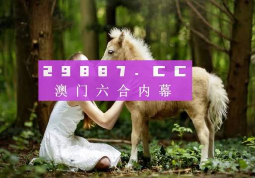澳门新开奖记录与开奖结果，探索2025年第27期查询结果