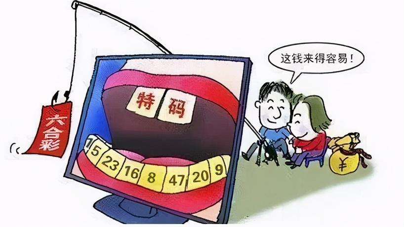 澳门新开奖记录查询，今天的结果与深度解读（11月12日查询结果）