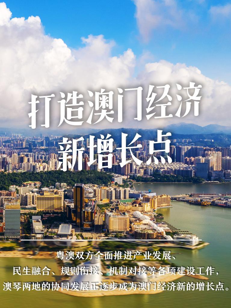 澳门六盒天天开彩视频在线观看，彩票文化的魅力与在线娱乐的交融