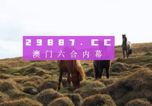 澳门新开奖记录2023年今晚直播回放视频大全——探索开奖瞬间的精彩