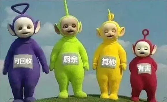 四个天线宝宝的性别揭秘
