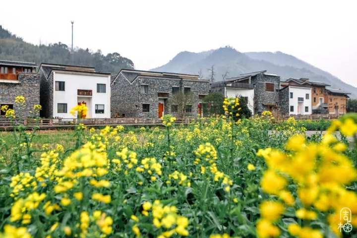 天线宝宝免费资料大全2022，探索神秘世界的宝藏之门