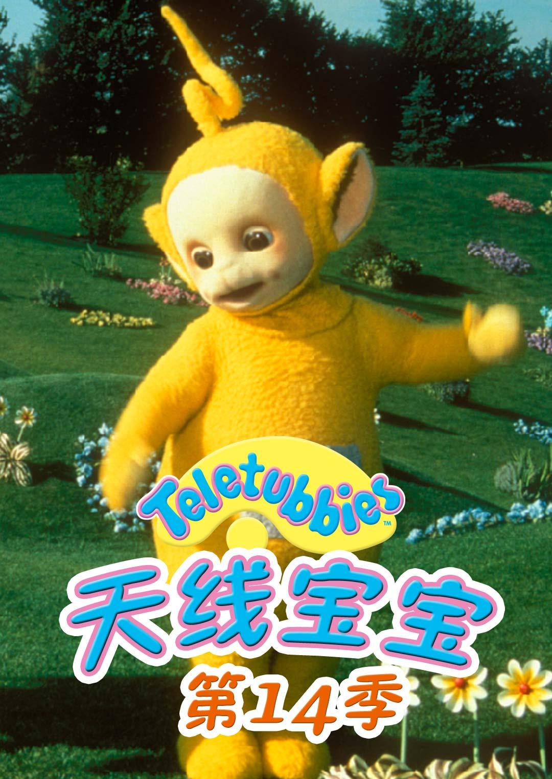 天线宝宝最新精准资料揭秘