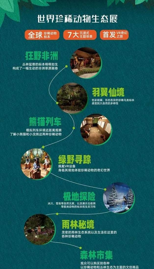 天线宝宝生肖排码表，探索神奇的生肖世界与天线宝宝的奇妙结合