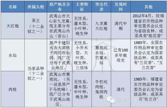 天线宝宝图片