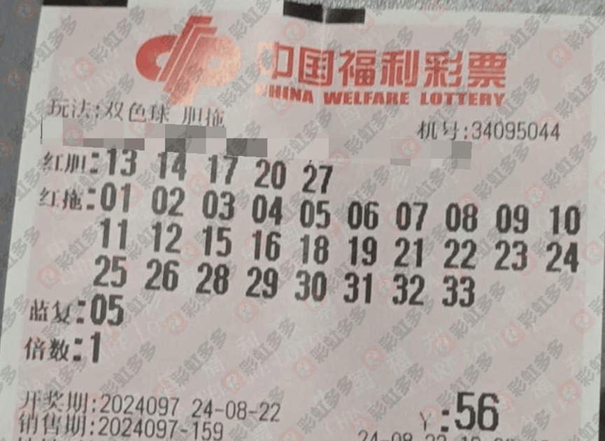 南方双彩网3D走势图，探索与解读