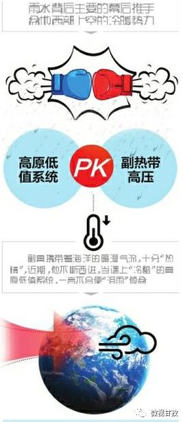 揭秘专家预测号码，3D十拿九稳的策略分析