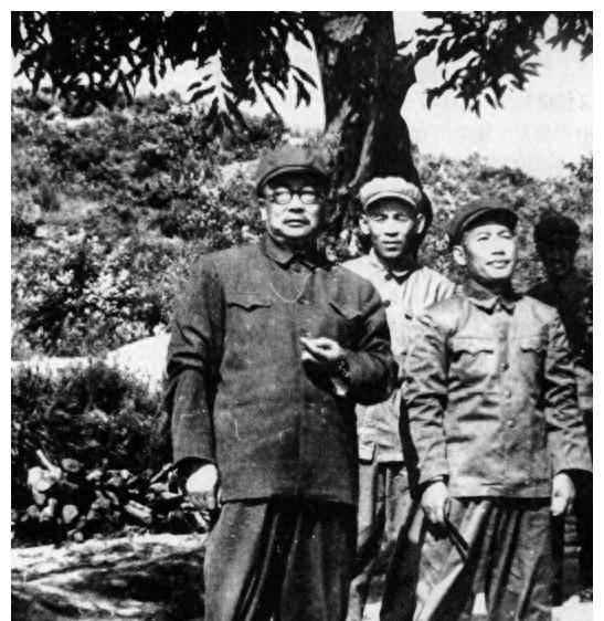 福利彩票双色球开奖结果，梦想与希望交织的盛宴