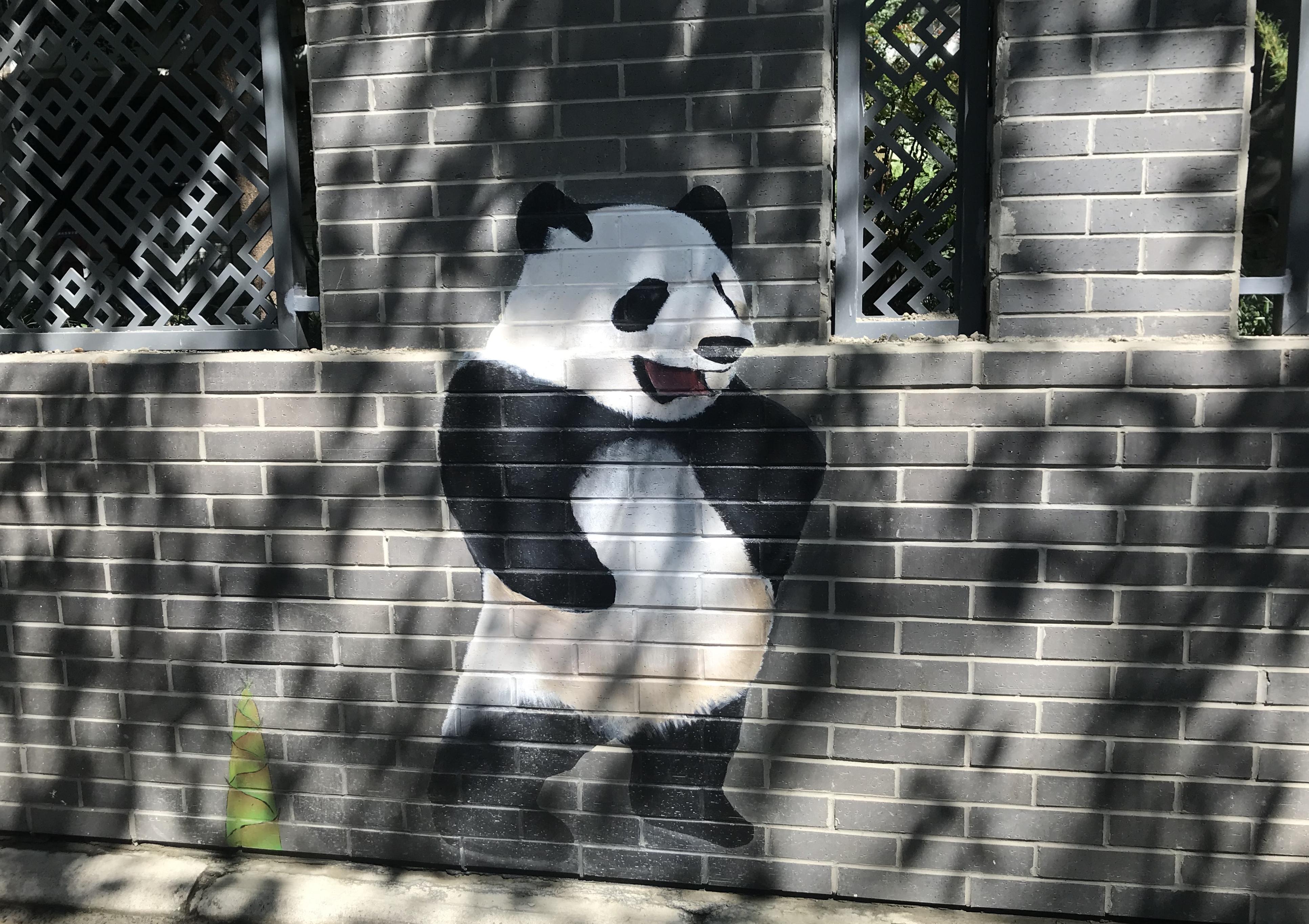 福彩3D今晚晒票，期待与惊喜的交汇时刻