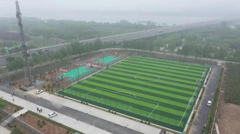 体育频道5现场直播，感受运动的魅力与激情