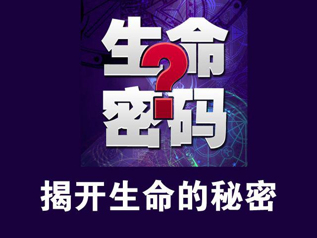 探索3D历史开奖号，揭秘数字背后的奥秘