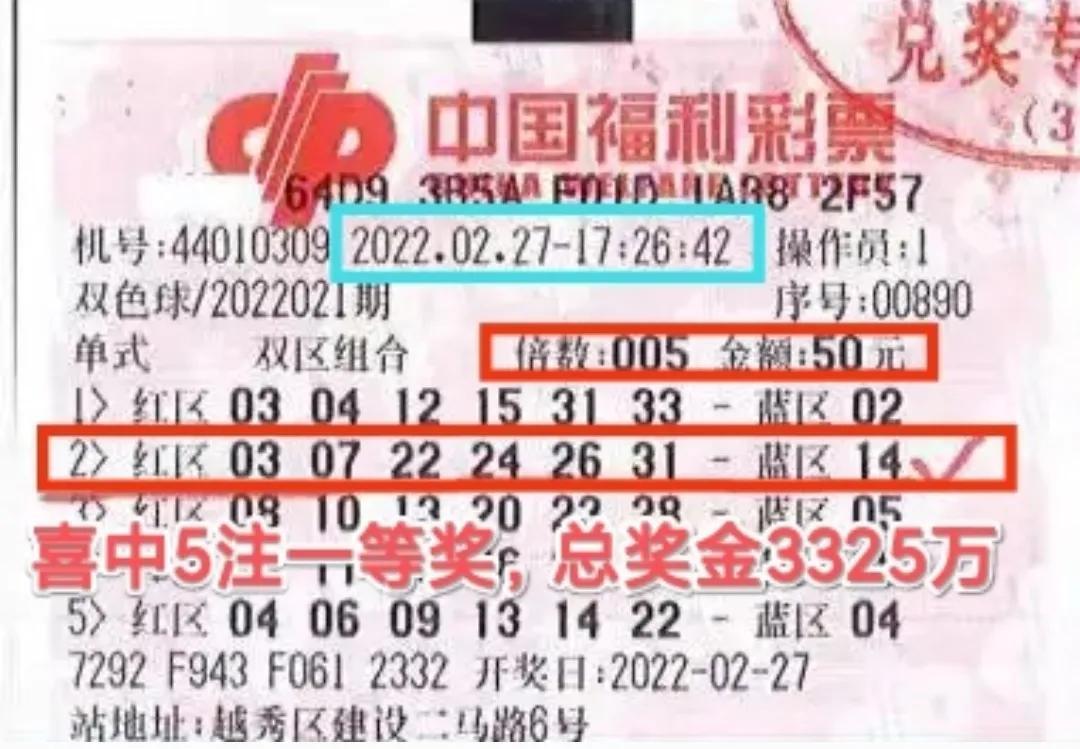 双色球最新开奖号码与彩票的魅力