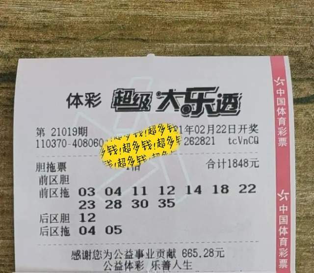 大乐透杀号彩经网，探索彩票投注的新境界