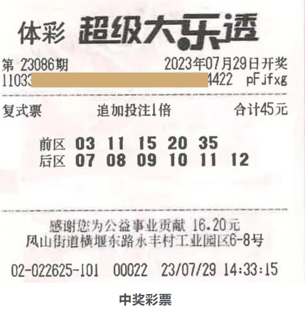 大乐透中奖号码分析，揭秘随机背后的秘密
