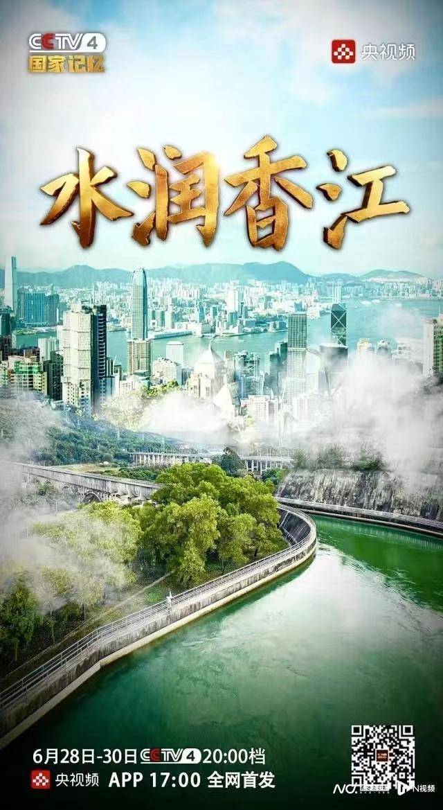 香港二四六免费资料开奖，揭秘彩票背后的故事