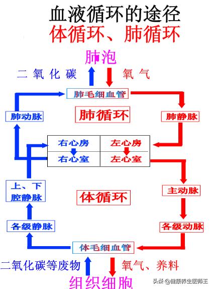 掌握3D试机号口诀，提升选号技巧