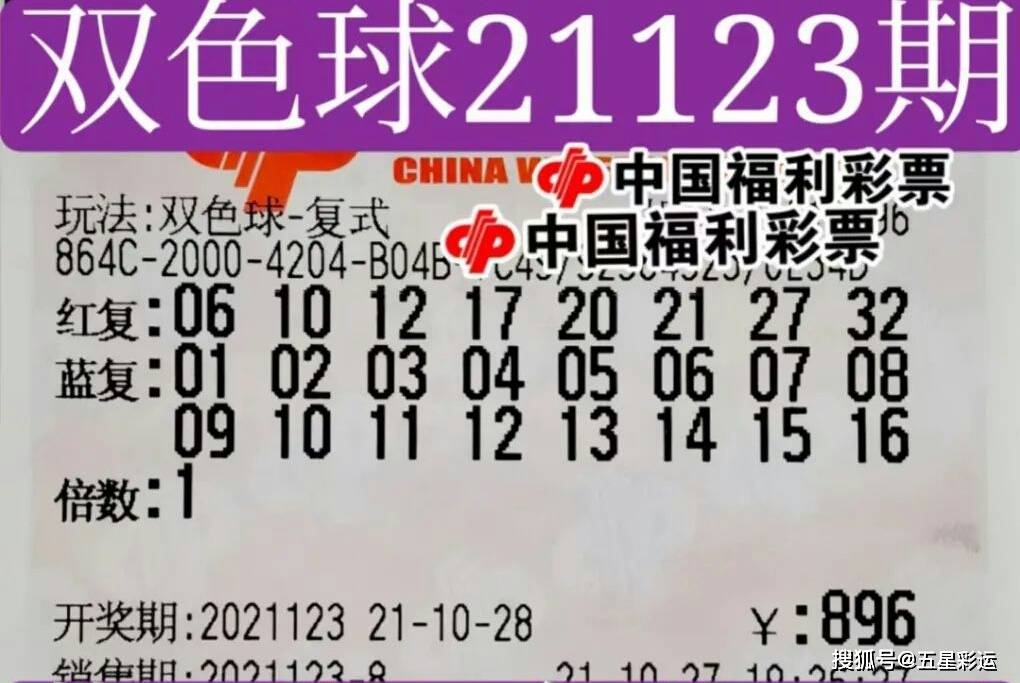 揭秘双色球中奖结果查询，从期待到惊喜的旅程