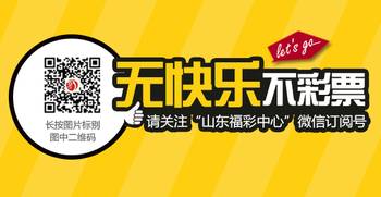双色球2014013期开奖结果查询，揭秘彩票背后的故事