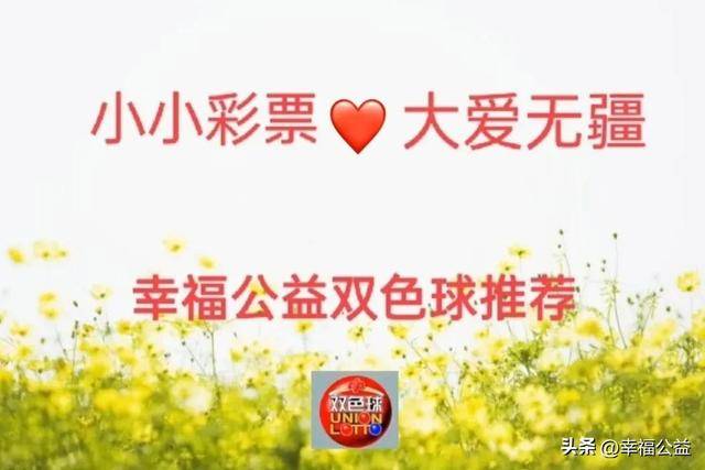 双色球公益指南，引领公益新风尚