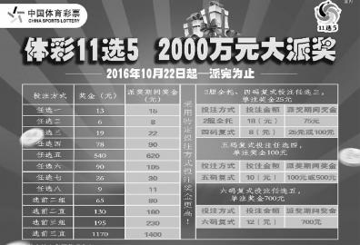 新版广东11选5，玩法解析与魅力探索