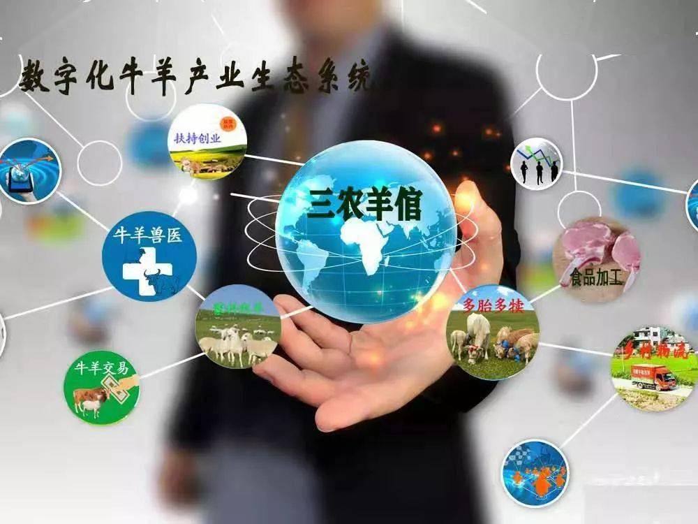 探索排列三走势图牛彩的魅力与奥秘