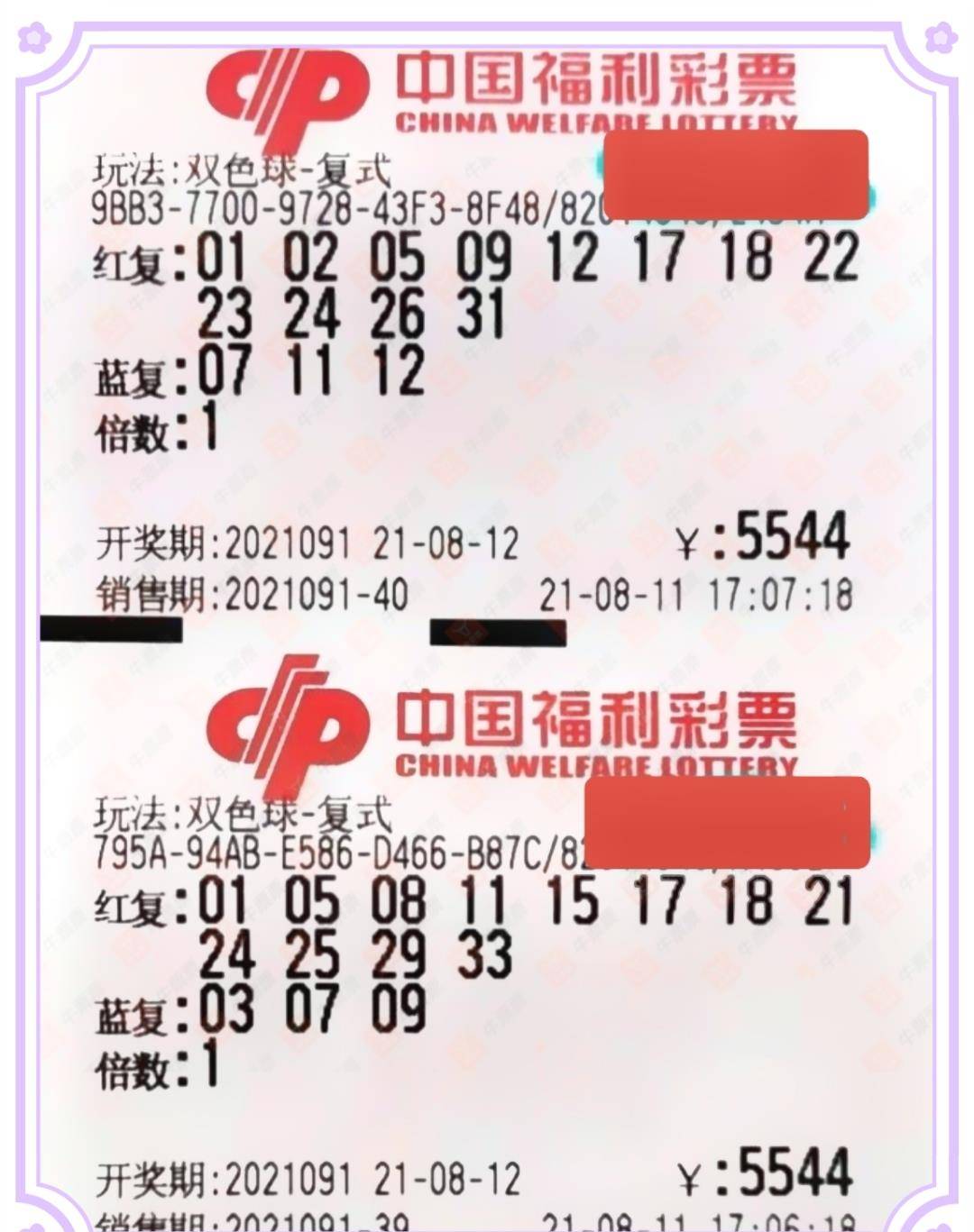 家彩千禧试机号开机号奖号，探索彩票背后的奥秘与期待