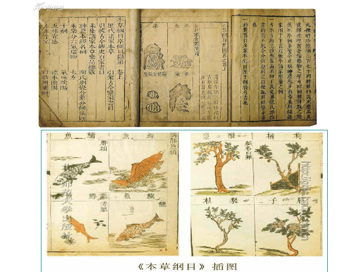 布衣彩吧图2，历史、文化与艺术的交织之美