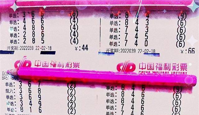福彩3D开奖结果今日揭晓，幸运降临，梦想成真