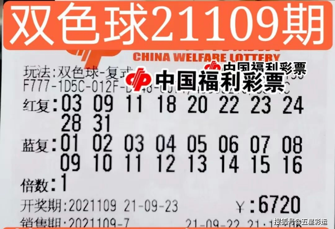 双色球开奖号码结果开奖直播，揭秘彩票背后的科技与创新