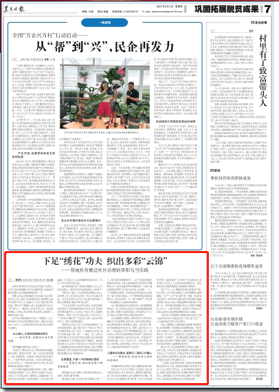 丹东彩吧与丹东综合报，城市文化的多彩画卷