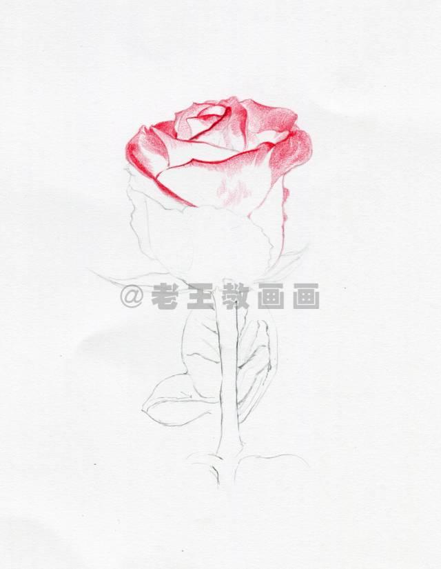 揭秘P3体彩走势图连线奥秘