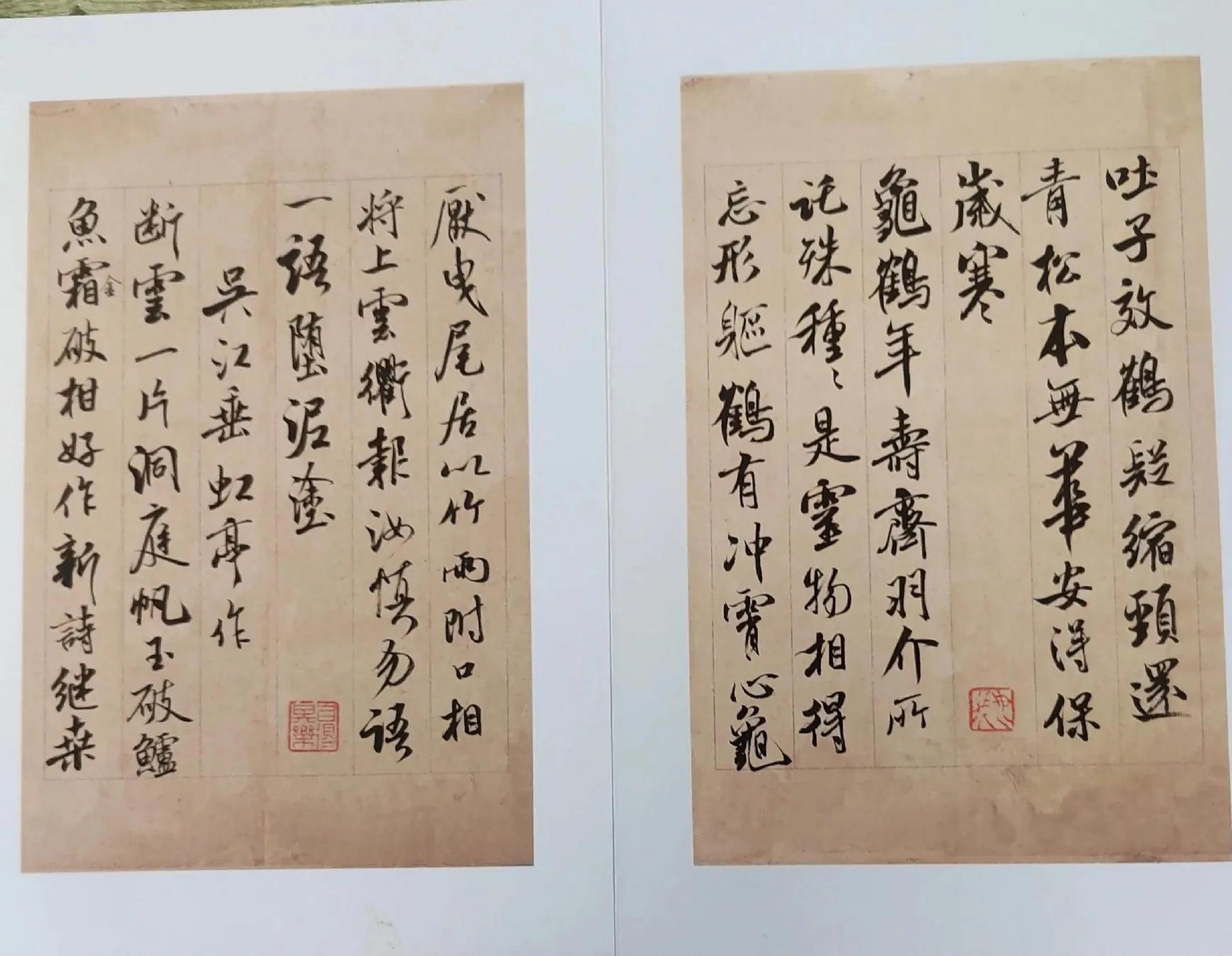 历史探究