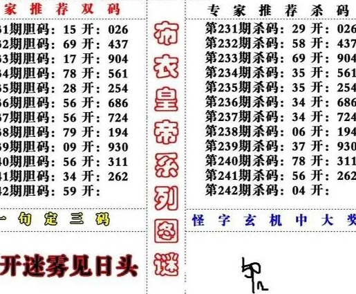 双彩网3D字谜图谜总汇，探索数字世界的奥秘