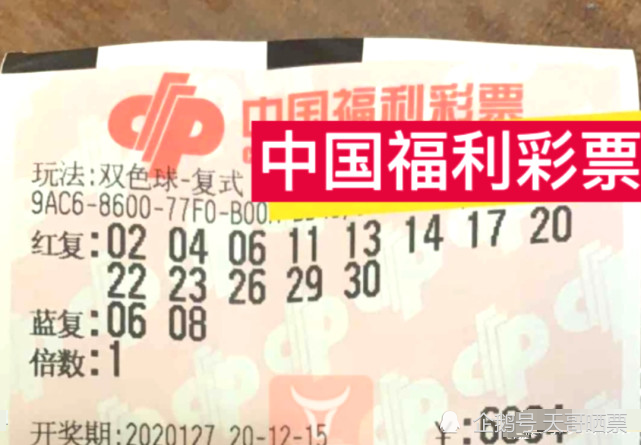 福彩开奖结果快8，梦想与希望的力量