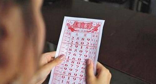 七星彩走势图新浪彩票，探索彩票世界的神秘面纱