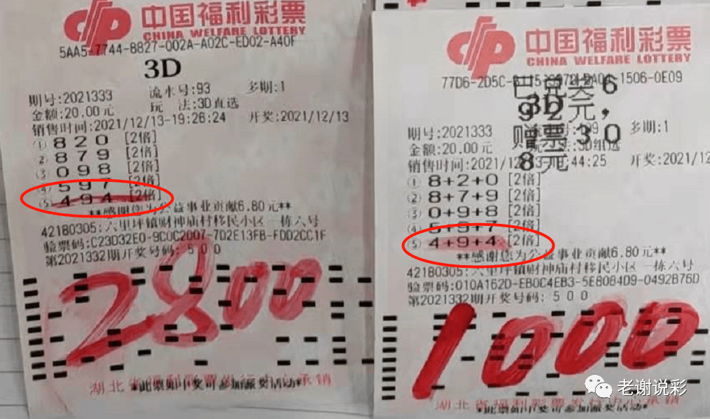 福彩3D今日试机号揭晓，幸运之门为你敞开