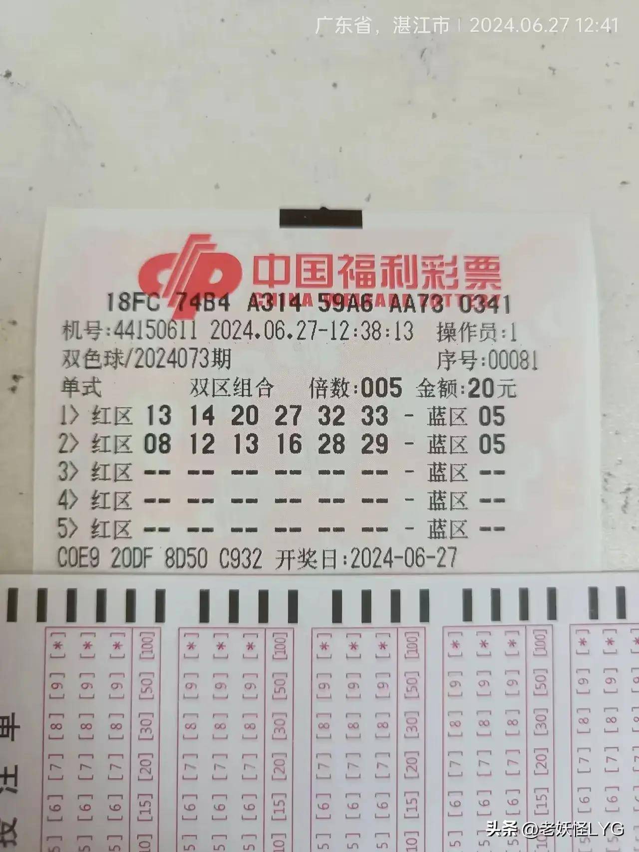 双色球彩票，揭秘双色球13 2的投注与价格