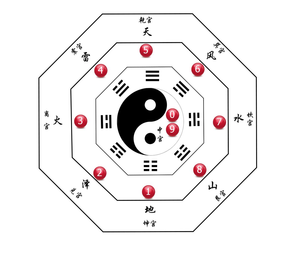 澳门六哥今日最新消息视频大全网站免费，探索与发现