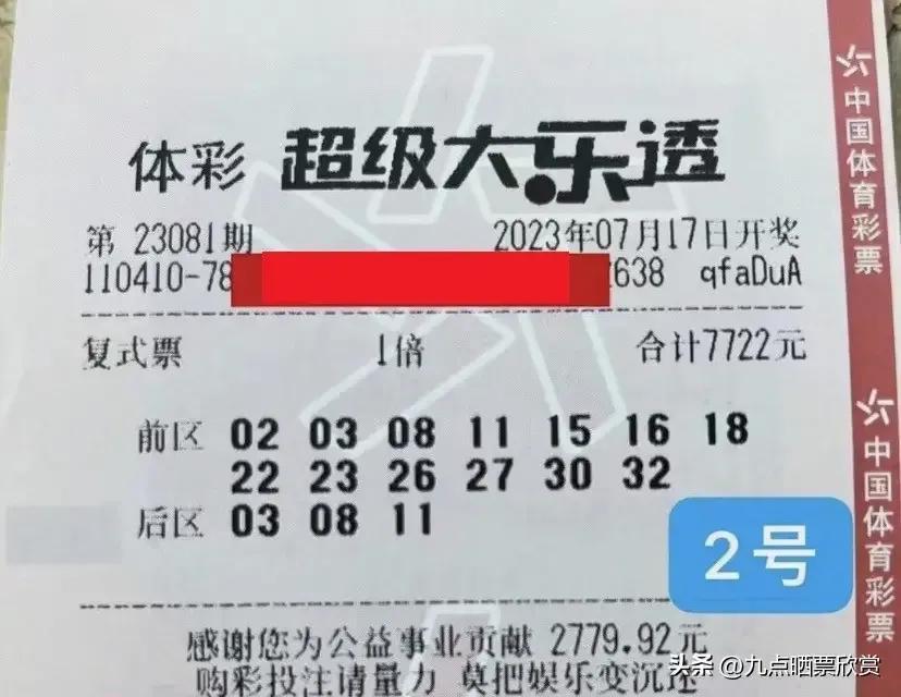 大乐透准确的十个专家推荐，揭秘彩票背后的策略与智慧